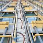 Untitled design (20)