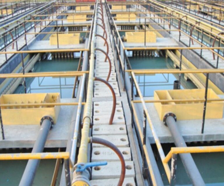 Untitled design (20)