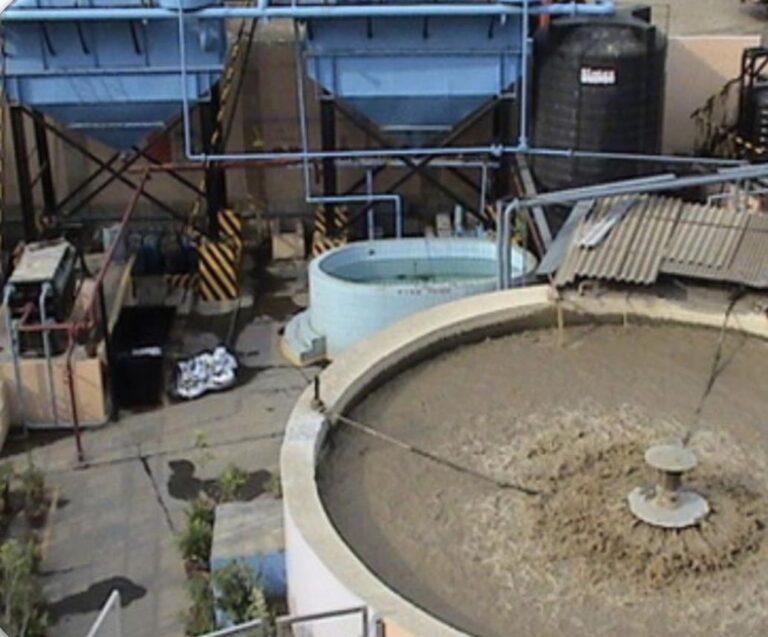 Untitled design (21)