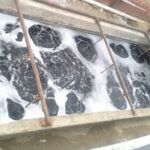 WhatsApp Image 2023-08-27 at 2.22.59 PM (11)