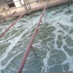 WhatsApp Image 2023-08-27 at 2.22.59 PM (14)