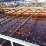 WhatsApp Image 2023-08-27 at 2.22.59 PM (17)