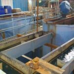 WhatsApp Image 2023-08-27 at 2.22.59 PM (32)