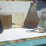 WhatsApp Image 2023-08-27 at 2.22.59 PM (37)