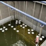 WhatsApp Image 2023-08-27 at 2.22.59 PM (43)