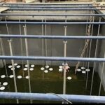 WhatsApp Image 2023-08-27 at 2.22.59 PM (44)